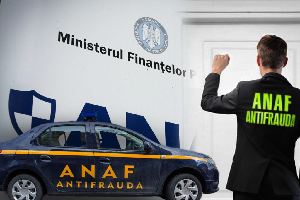 Asistență în cadrul inspecțiilor fiscale detail