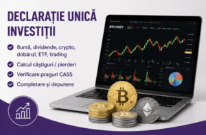 Declaratie unică - investiții